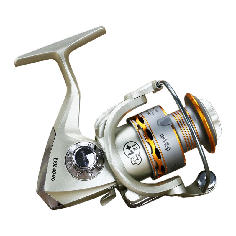 Darcy Reels