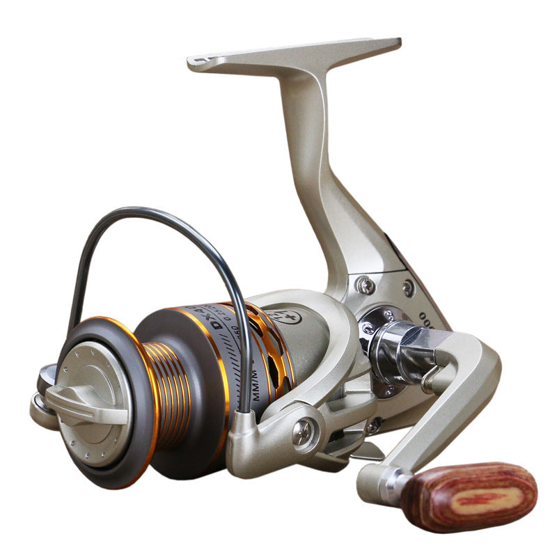 Darcy Reels