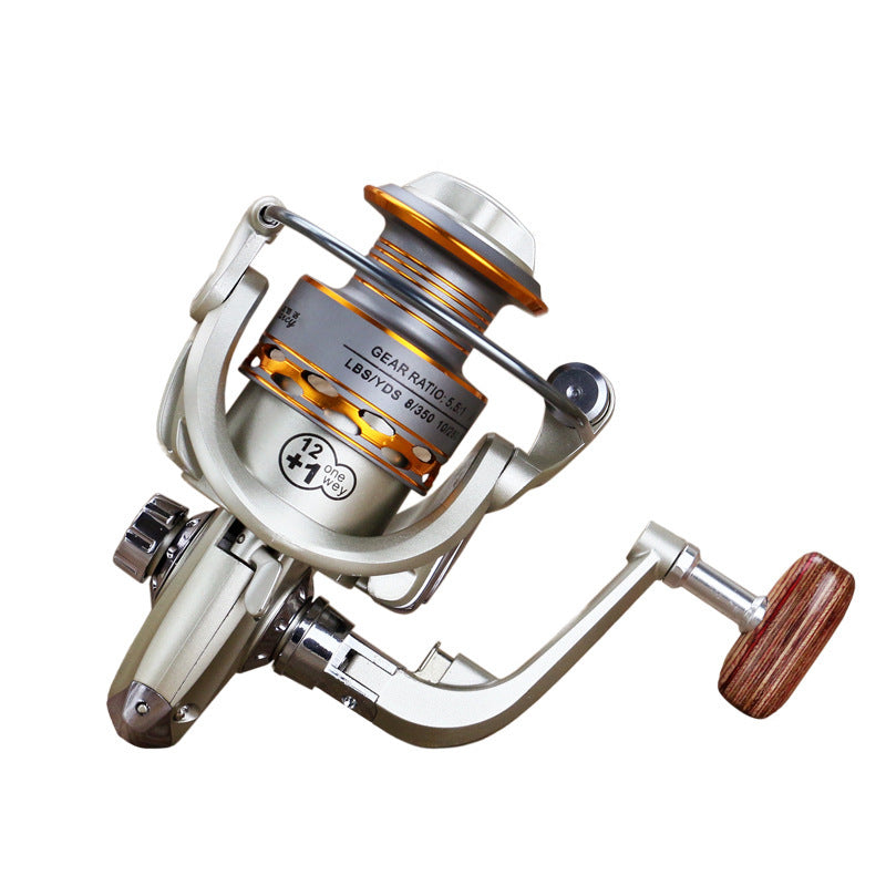 Darcy Reels